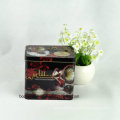 Custom Retangular Metal Music Tin Box with Handle